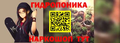 PSILOCYBIN Пенза