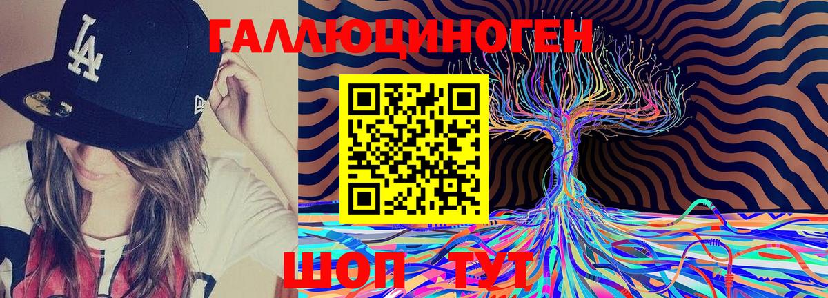 Галлюциногенные грибы Psilocybine cubensis Ртищево