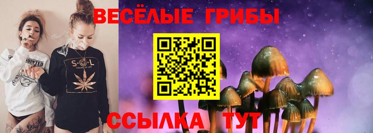 Галлюциногенные грибы Psilocybe  Вход с VPN  Ртищево 